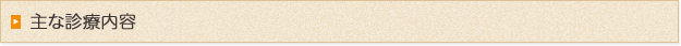 主な診療内容